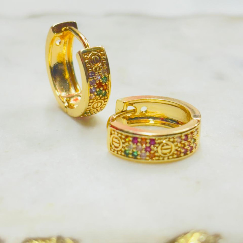 Stainless Steel Cubic Zirconia Hoop Earring